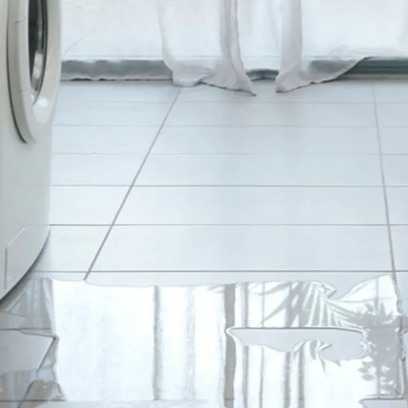 Appliance Leak Cleanup in Shawnee, KS