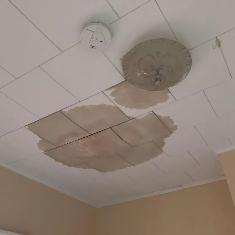 Ceiling Water Damage Repair in Shawnee, KS