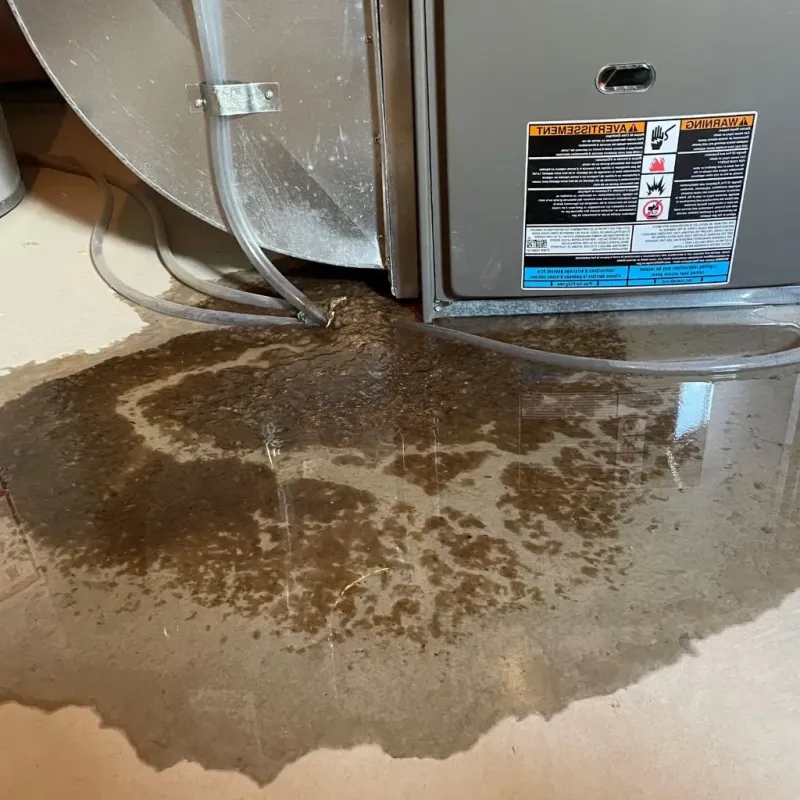 Pipe Burst and Leak Restoration in Shawnee, KS