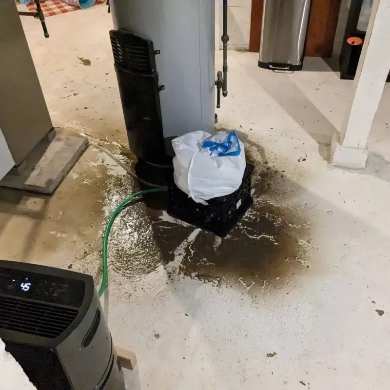 Sewage Backup Cleanup Service in Shawnee, KS